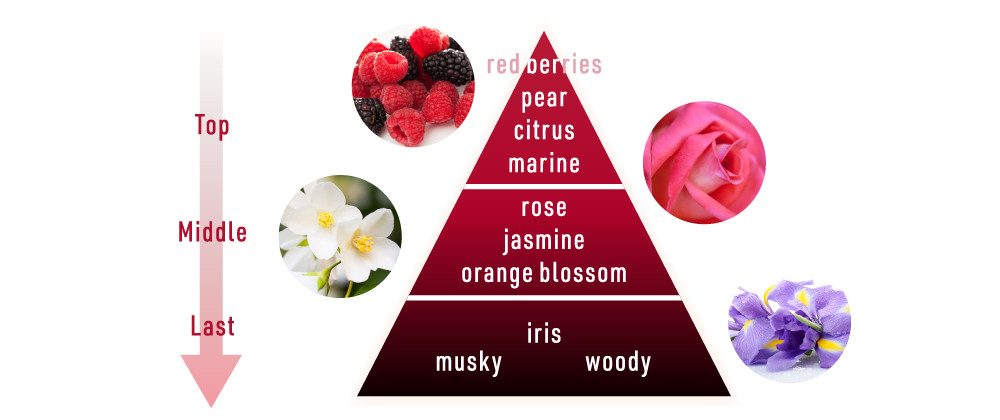 フローラル・フルーティ・ムスキー表