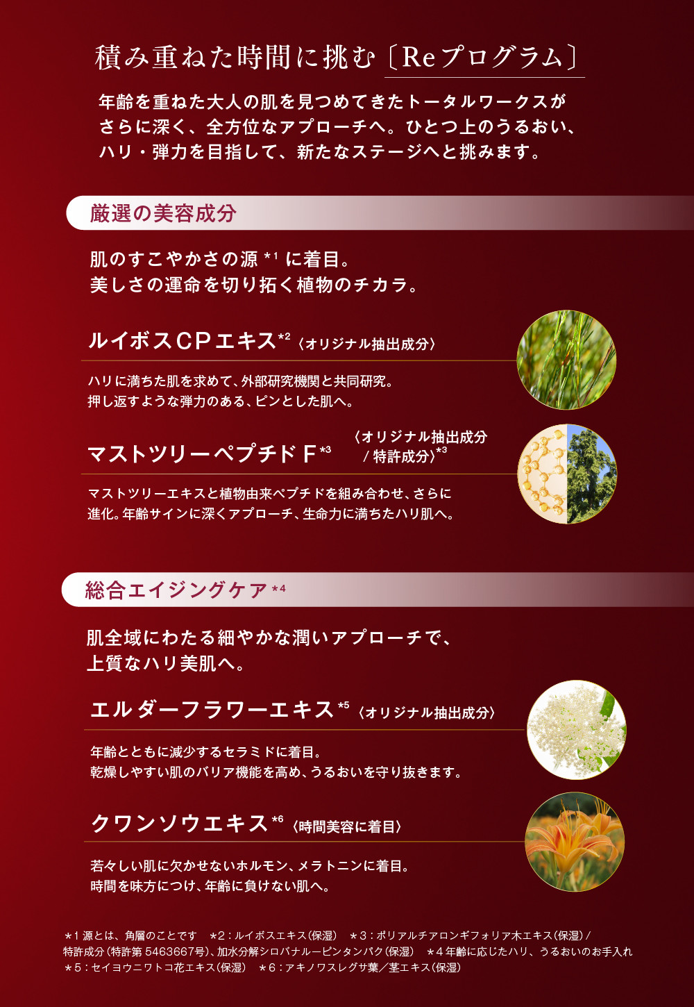 積み重ねた時間に挑む〔Reプログラム］